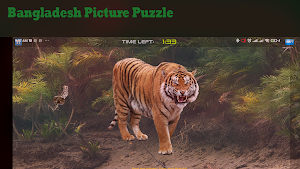 Bangladesh_Picture_Puzzle Screenshot 3