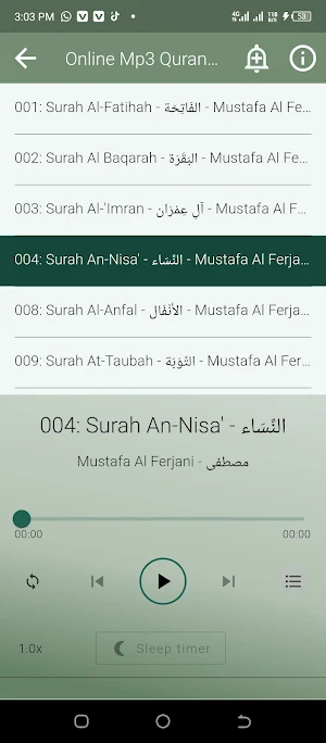 Mustafa Al Ferjani Mp3 Quran Screenshot 3