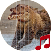 Scary Animal Sounds ~ Sboard.pro
