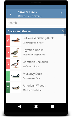 Sibley Birds 2nd Edition Screenshot 3