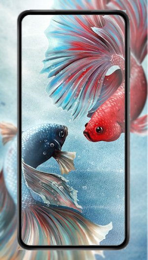 Ikan Cupang Wallpaper HD 2023 Screenshot 0