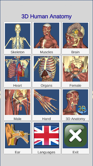 3D Bones and Organs (Anatomy) Screenshot 2