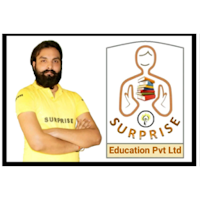 Surprise Global Solutions