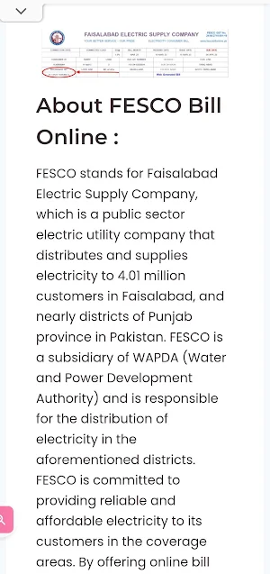 Fesco Bill Screenshot 1