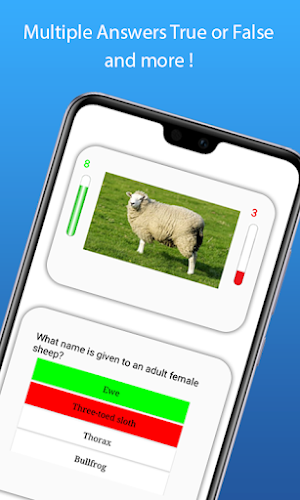 Animal Quiz Screenshot 2