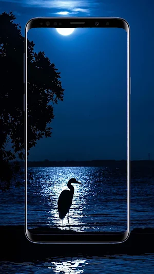 Moon Wallpapers Screenshot 2