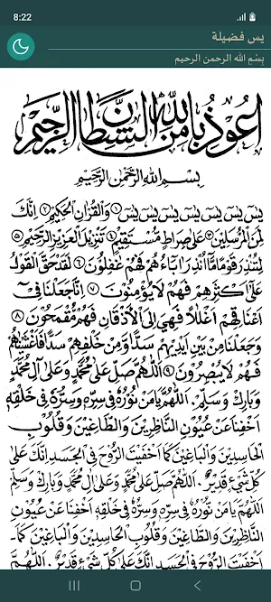 Ya Sin Fadilah (Yaseen) Screenshot 0