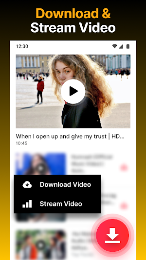 Video Downloader HD - Vidow Screenshot 2