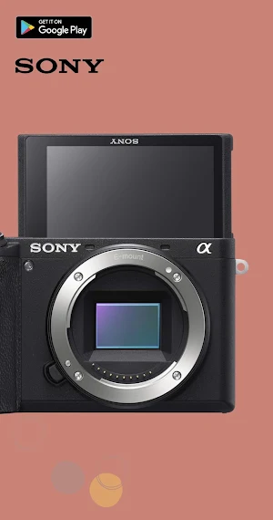 Sony Alpha 6600 Guide Screenshot 0