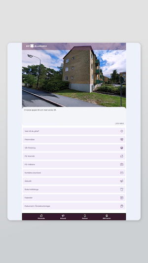 BRF Irländaren Screenshot 3