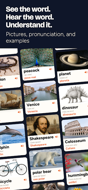 Bilingual English Dictionary Screenshot 1