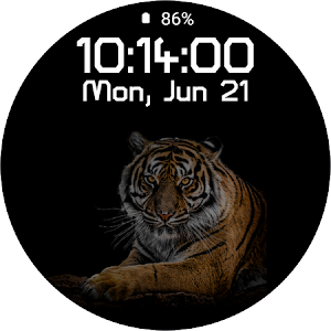 Watch Face Wear OS Tiger Screenshot 3