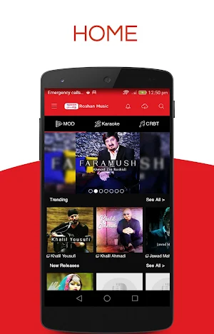 Roshan Music Screenshot 0