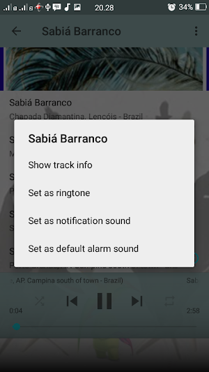 Canto Fêmea de Sabiá Barranco Screenshot 2