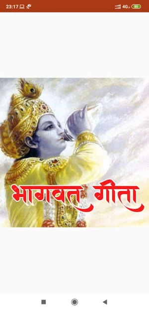 Bhagavad Gita Screenshot 0