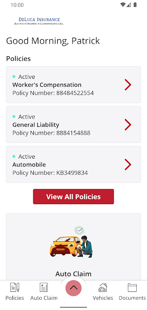 DeLuca Insurance Services Ltd. Screenshot 1