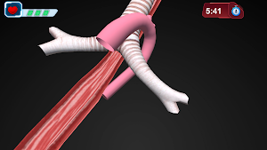 Gamifying Anatomy Screenshot 1