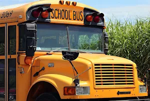 Buses ringtone screenshot 1
