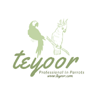 Teyoor