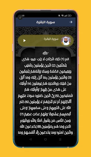 القرآن الكريم ماهر المعيقلي Screenshot 1