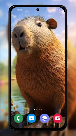 Capybara Wallpapers Background Screenshot 3