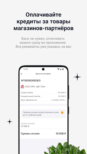 Direct Pay Screenshot 2