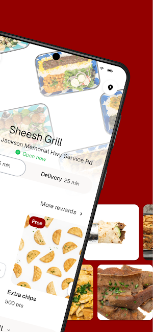 SHEESH GRILL CHANTILLY Screenshot 1