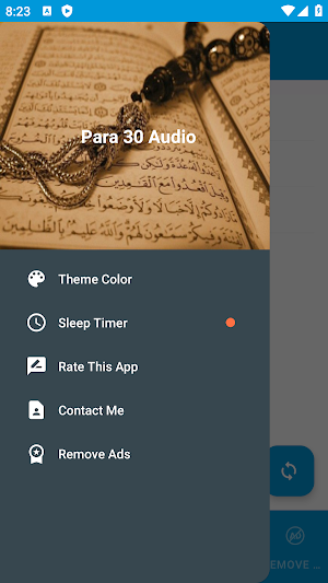 Para 18 Audio Screenshot 1