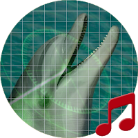 Ocean sonar sounds ~ Sboard.pro