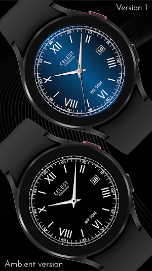 CELEST5521 Analog Watch Screenshot 0