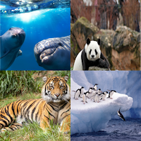Animal Facts