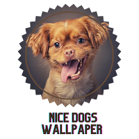 Nice dogs wallpaper
