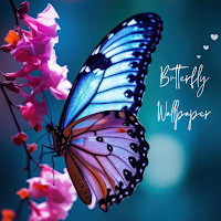 Butterfly Wallpapers HD