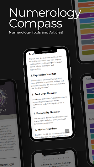 Numerology Compass Screenshot 1