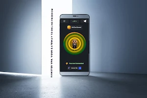 Hamster Kombat VPN Screenshot 0