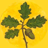 Ferhengê Kurdî - Dictionary