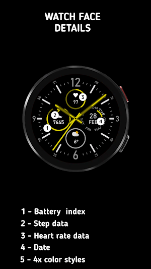 Endurance Watch Face - Lite Screenshot 1