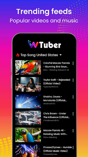 wTuber-Video Player all format Screenshot 2