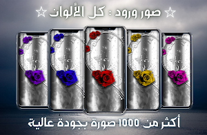Rose pictures: all colors Screenshot 0