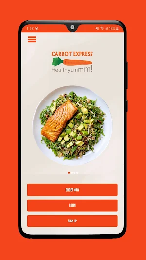 Carrot Express Screenshot 0