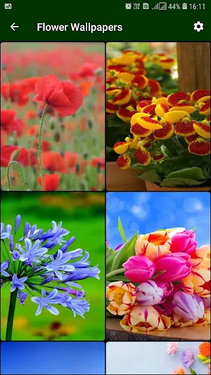Flower Wallpaper Screenshot 0