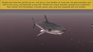 Diversity in Living: Mammalia Screenshot 1