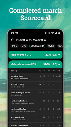 Live Cricket Score - Live Line Screenshot 3