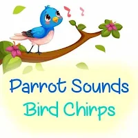 Parrot Sounds Bird Chirps