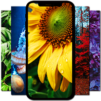4k Wallpapers FHD Backgrounds