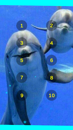 Dolphin Sounds Of The Sea Screenshot 3
