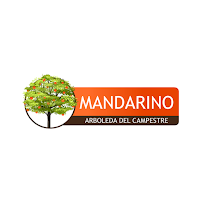 Mandarino
