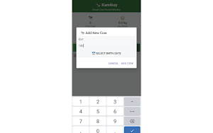 Kamikey Screenshot 3