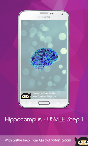 Hippocampus - USMLE Step 1 Screenshot 2