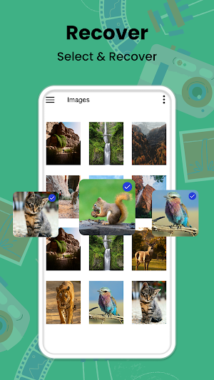 File Recovery - Photo Recovery Screenshot 2